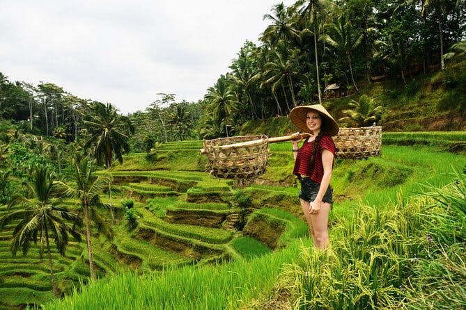 Best of Ubud: Monkey Forest, Temple, Waterfall, Rice Terrace & Art Villages